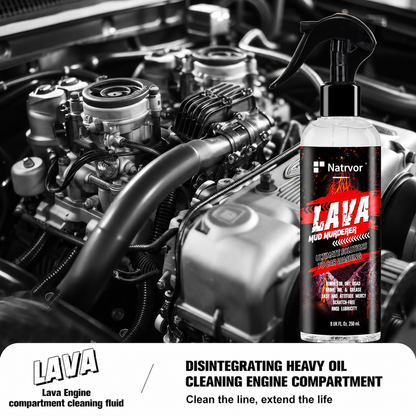 RV Engine Cleaner | Spray, Clean & Protect