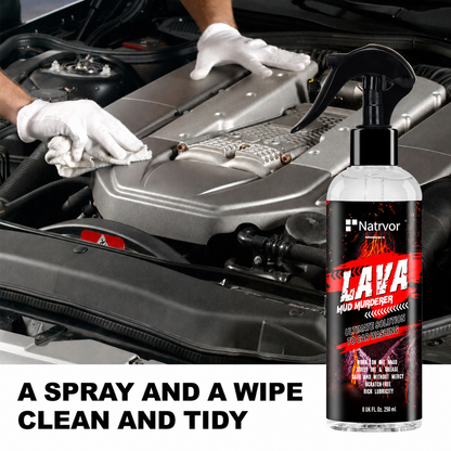 RV Engine Cleaner | Spray, Clean & Protect